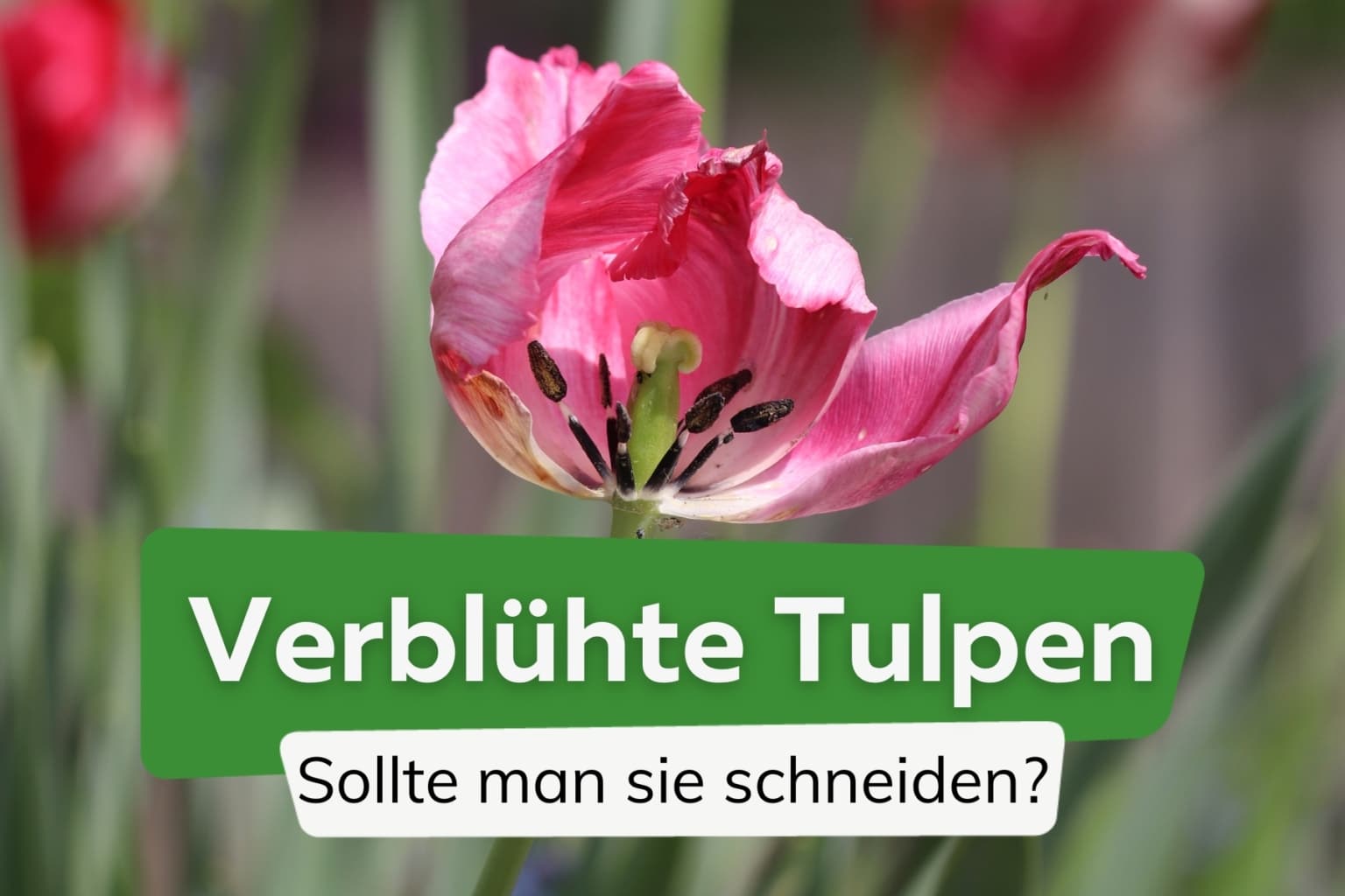 Wunderschone Stva Duren Termin Bild