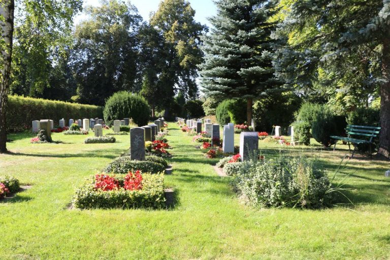 Grabbepflanzung im Sommer