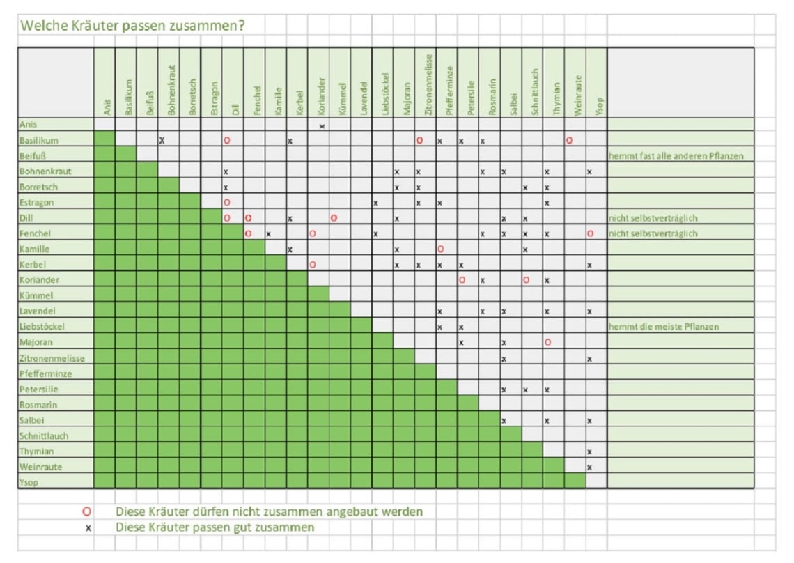 Kräutertabelle - Welche Kräuter passen zusammen?