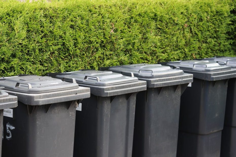 Biotonne Maden Deckel Offen Lassen Maden in der Biotonne - so werden Sie das Problem los