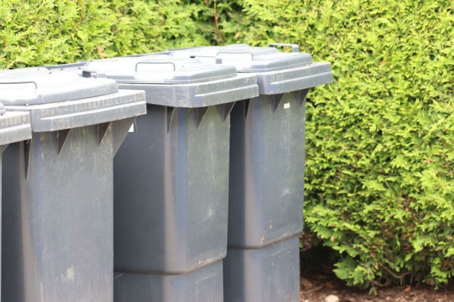 Biotonne Maden Deckel Offen Lassen Maden in der Biotonne - so werden Sie das Problem los