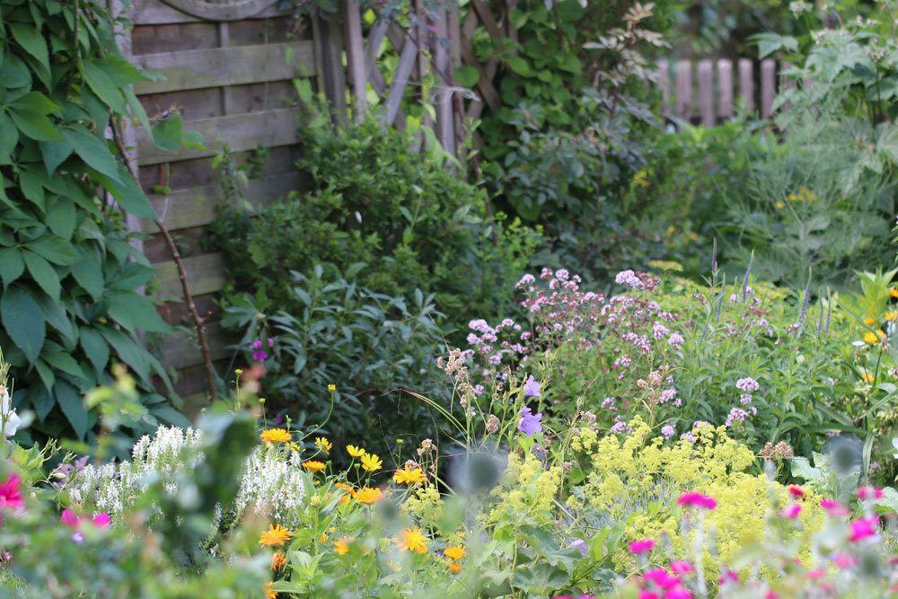 Poolwasser für Gartenblumen verwenden