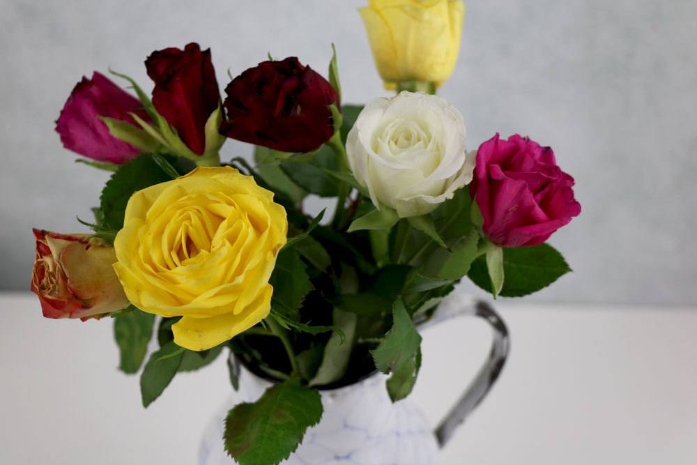 geschnittene Rosen aus dem Garten als Vasenschmuck