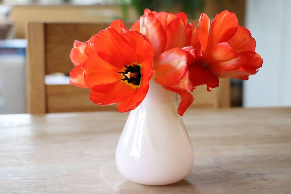 Tulpen in der Vase