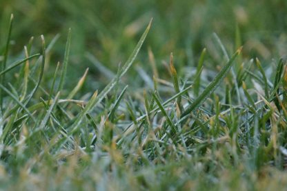 Gartenkalk wann und wie Sie den Kalk richtig ausbringen + 8 Vorteile