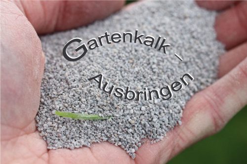 Gartenkalk richtig ausbringen