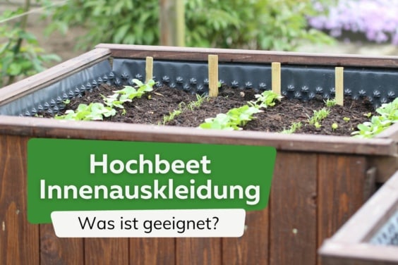 Hochbeet: welche Folie/Vlies für die Innenauskleidung wählen?