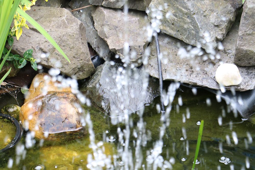 Gartenteich als Blickfang