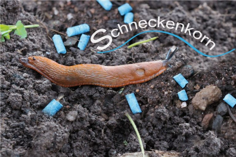 Schneckenkorn und Nacktschnecke