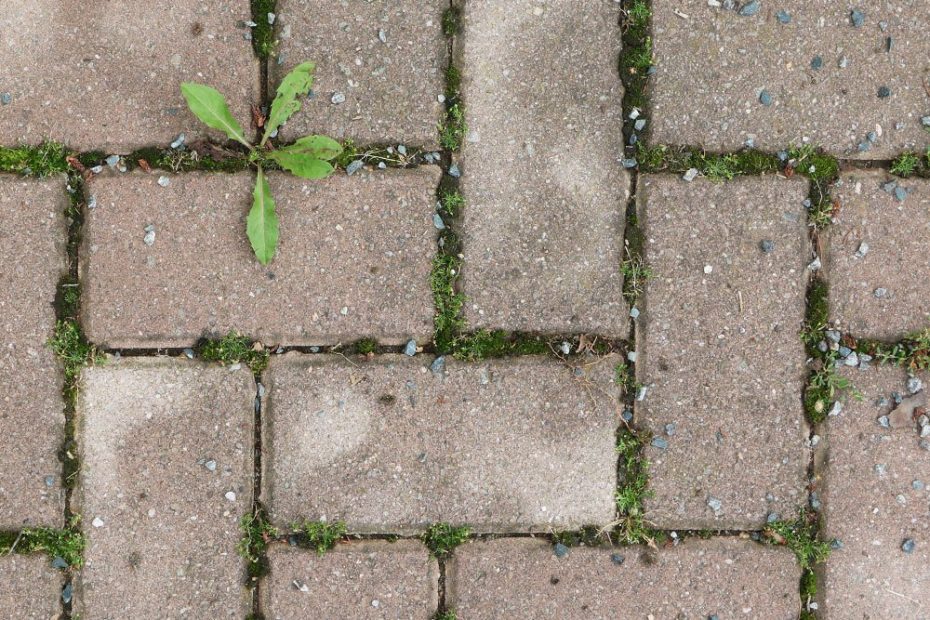 Weiße Flecken auf Pflastersteinen: so entfernen Sie die Flecken