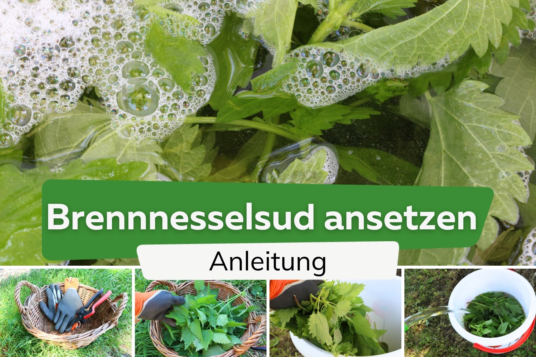 Brennnesselsud ansetzen