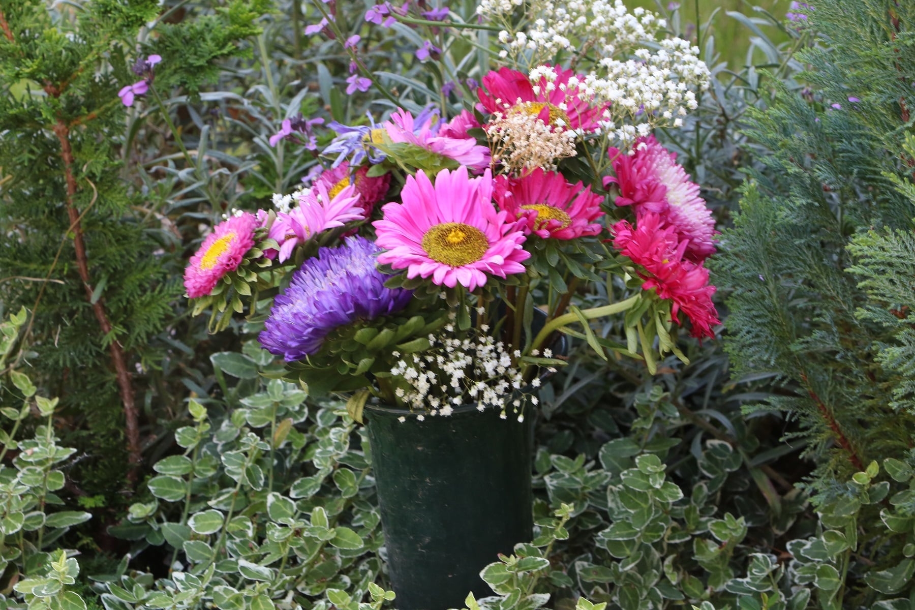 Welche Schnittblumen Halten Lange Auf Dem Friedhof Friedhofsbepflanzung: 30 Friedhofspflanzen, die wenig Wasser brauchen