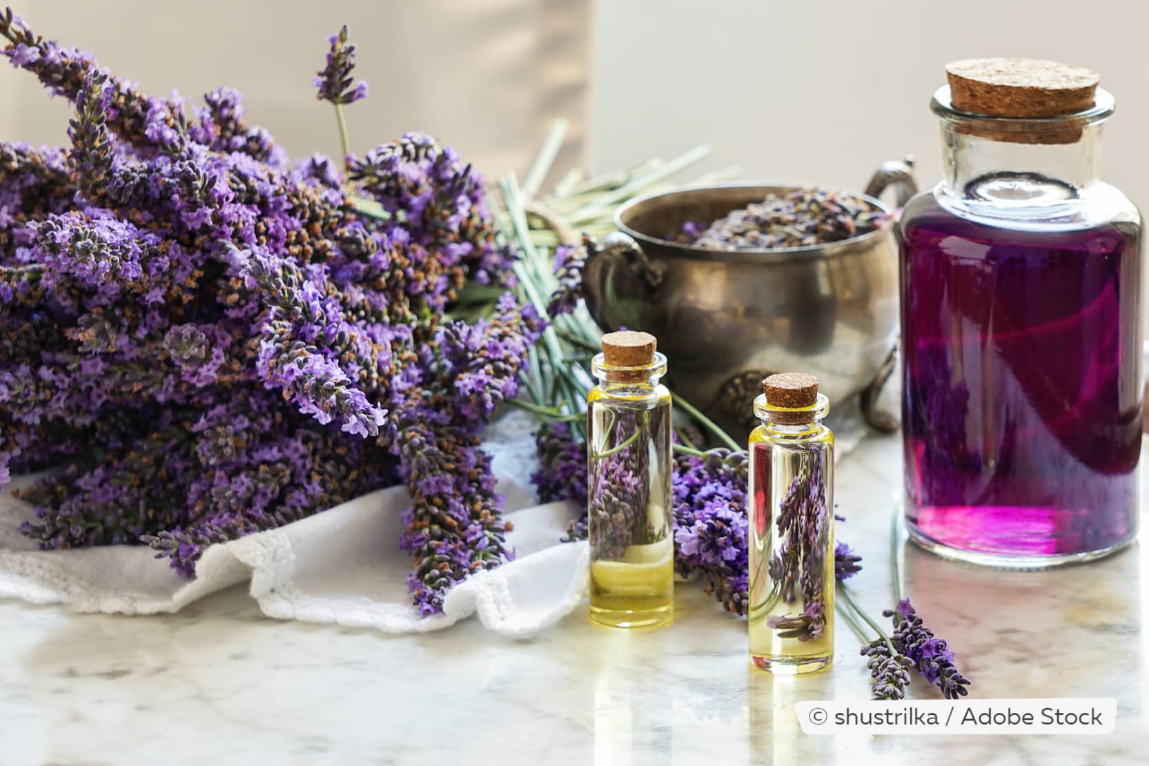 Lavendel und Lavendelöl gegen Wespen hilft es wirklich?