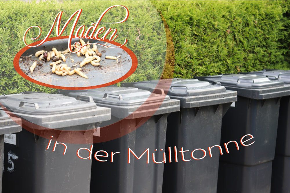 Maden in der Mülltonne