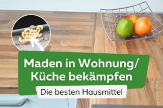 Maden in Wohnung und Kche bekmpfen: 9 wirksame Hausmittel