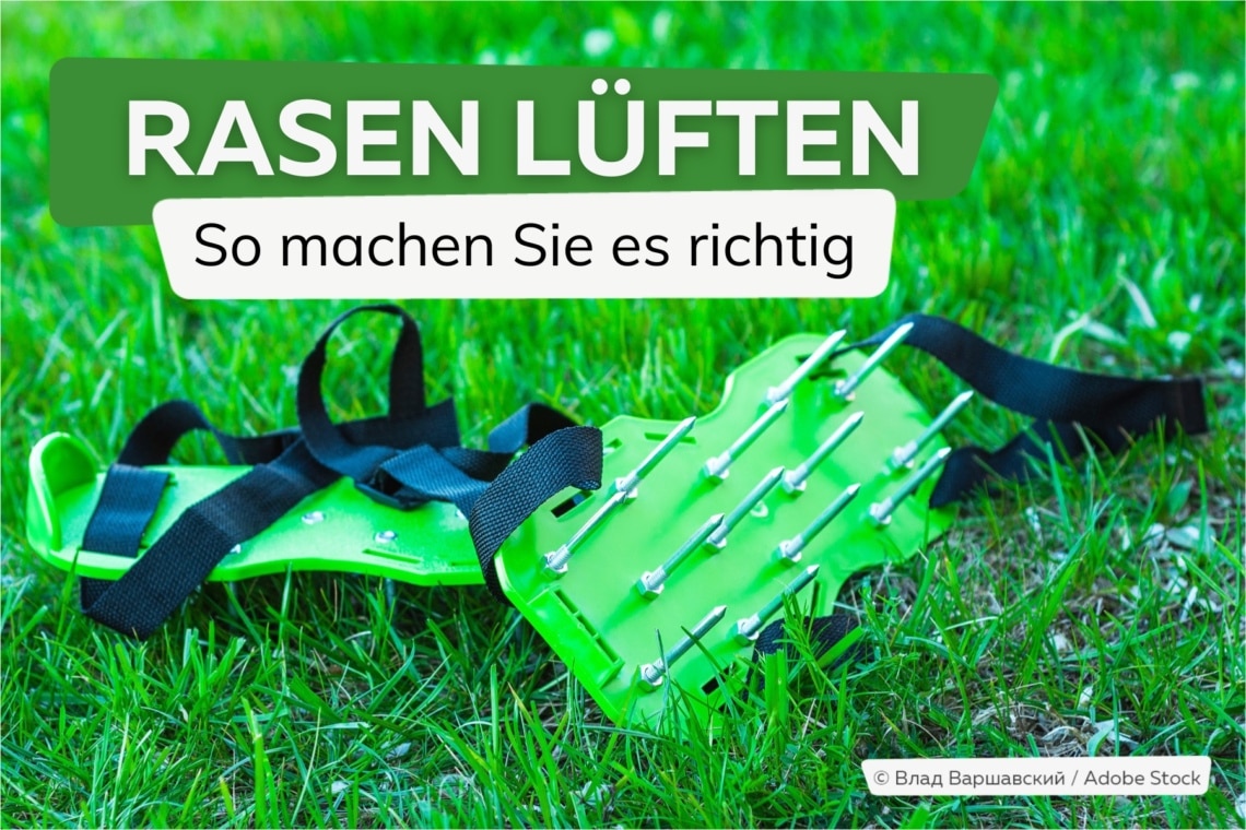 Rasen lüften