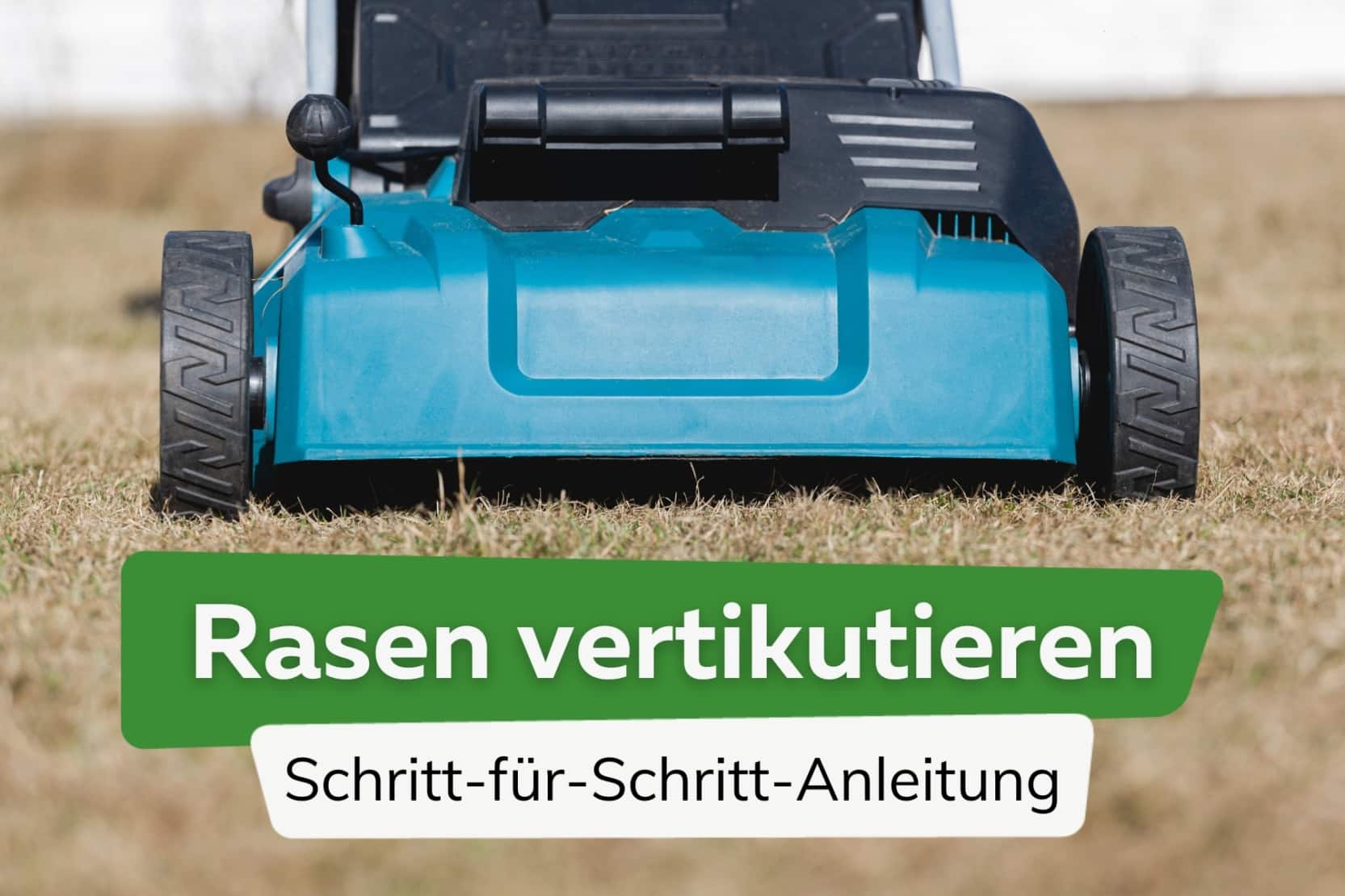 Rasen aerifizieren Geräte & Anleitung