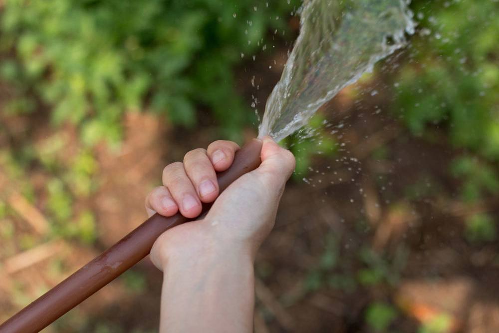 Gießen mit Wasserschlauch