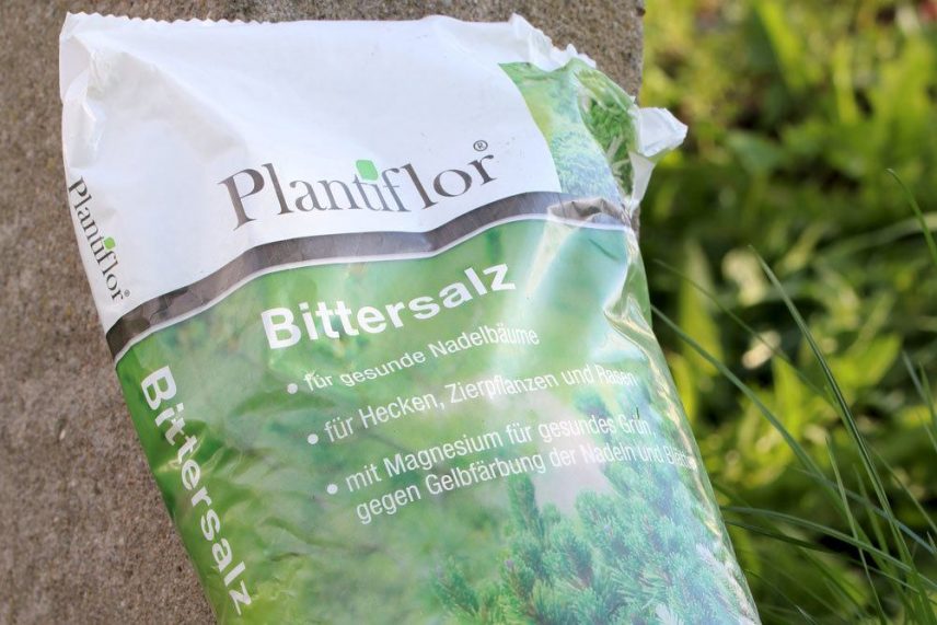 BittersalzDünger Welche Pflanzen vertragen es? Anwendung