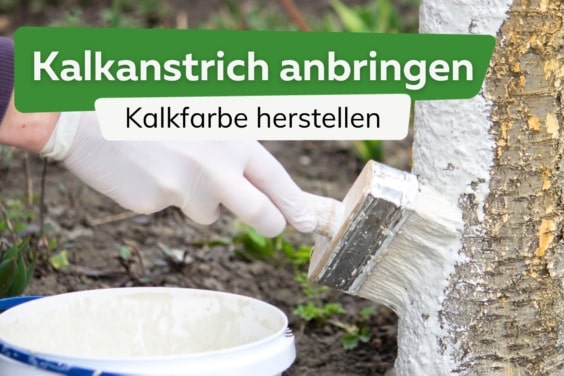 Kalkanstrich anbringen