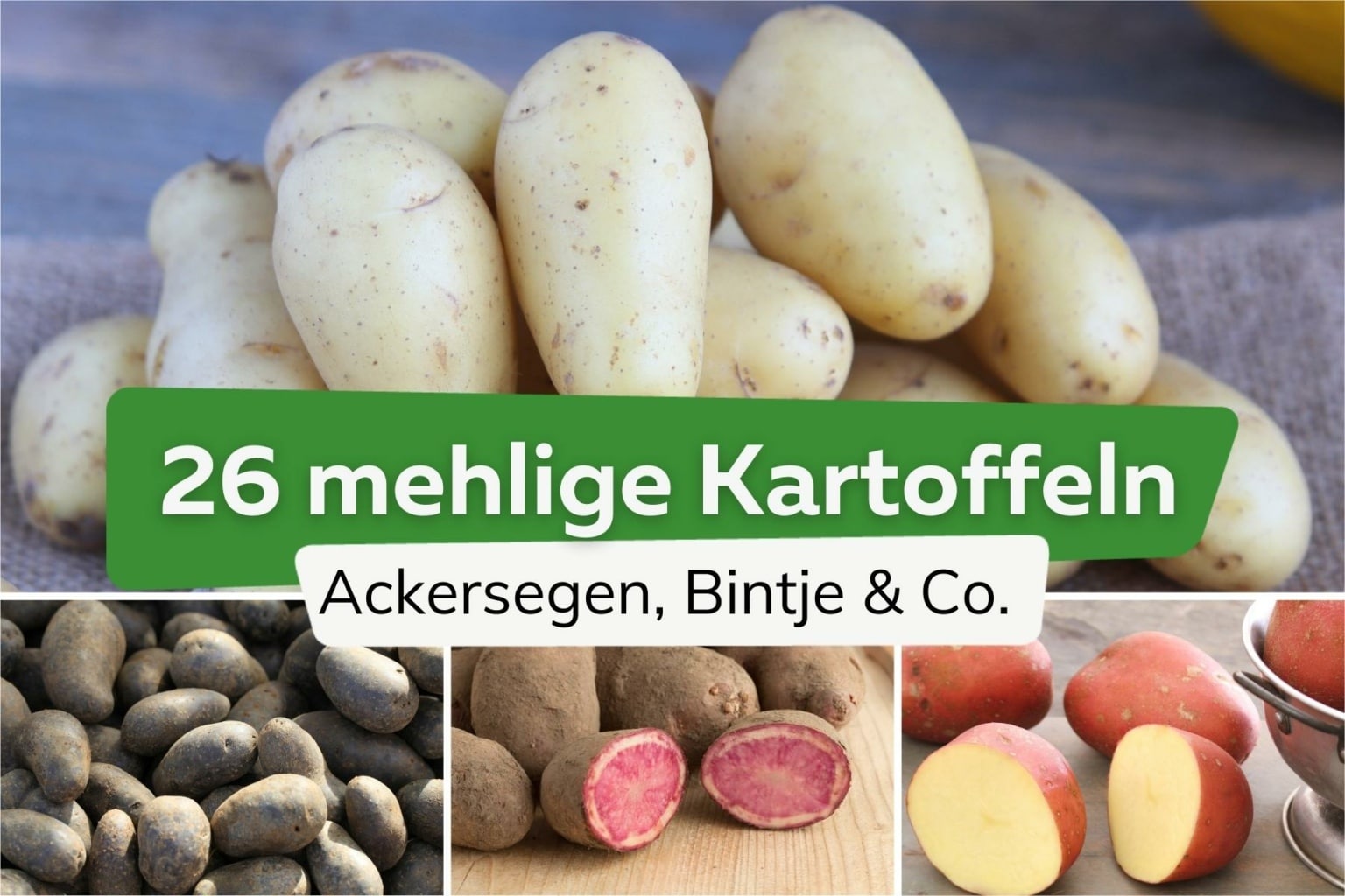 Mehlige Kartoffeln Namen