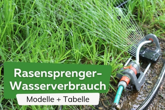 Rasensprenger Wasserverbrauch