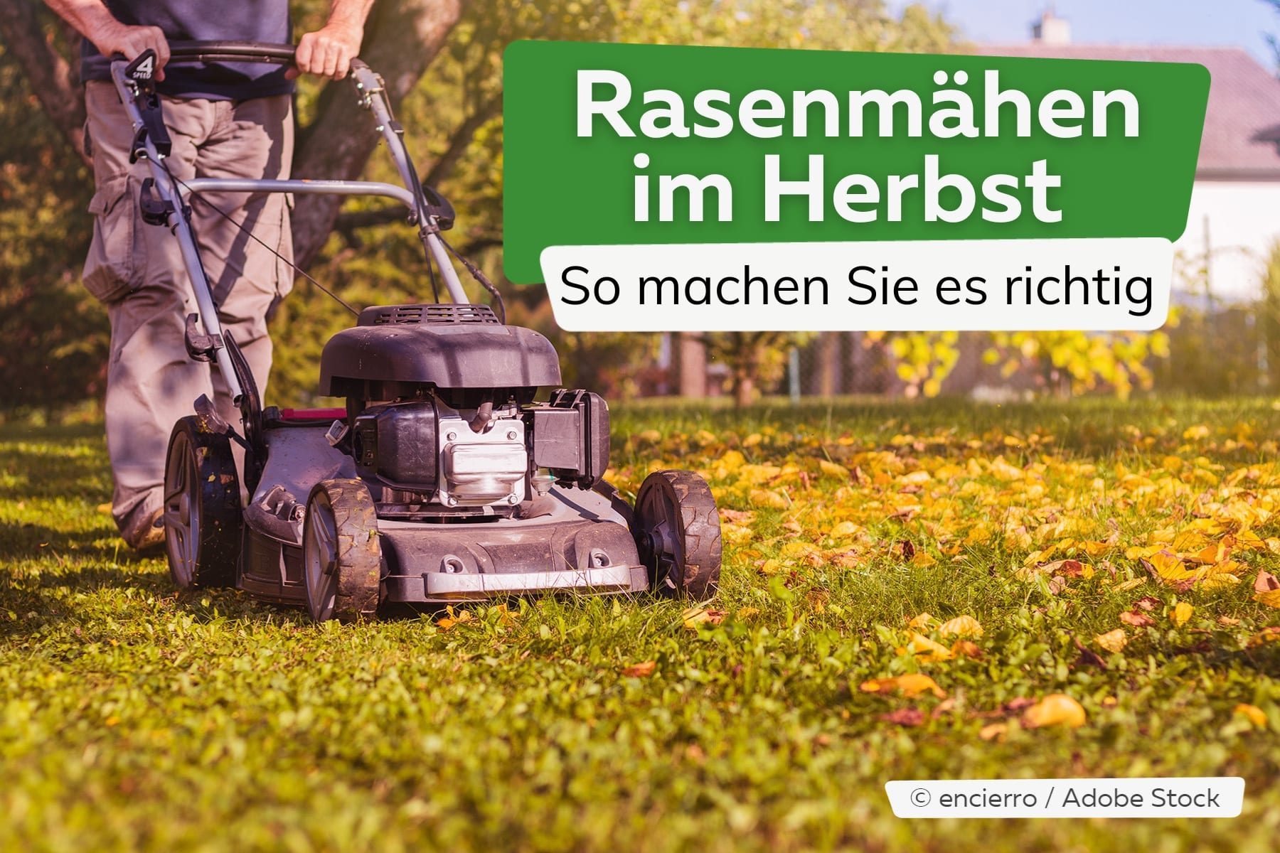 Rasenmähen im Oktober und November - wie lange ist es möglich?