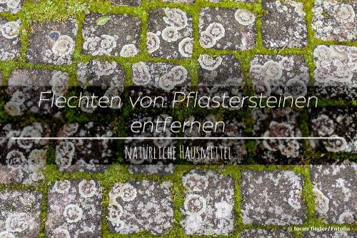 Flechten von Pflastersteinen entfernen