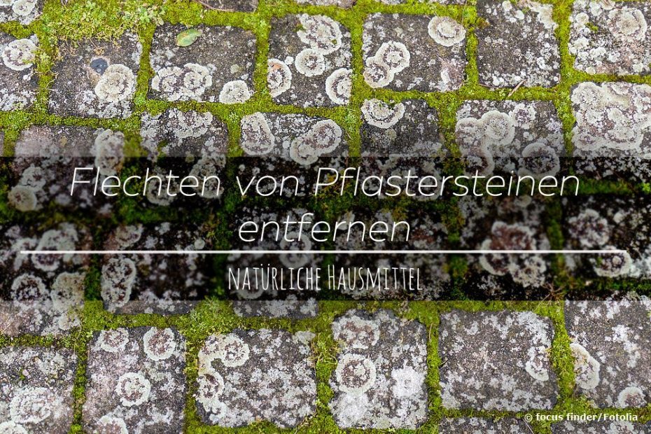 Flechten Entfernen Hausmittel