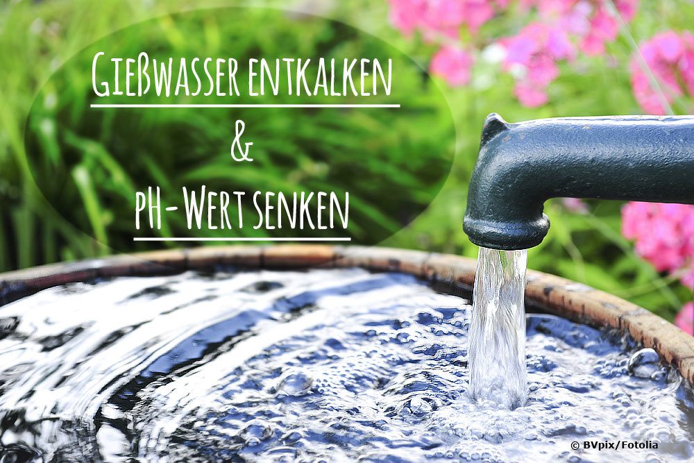 Giewasser entkalken: so senken Sie den pH-Wert im Wasser