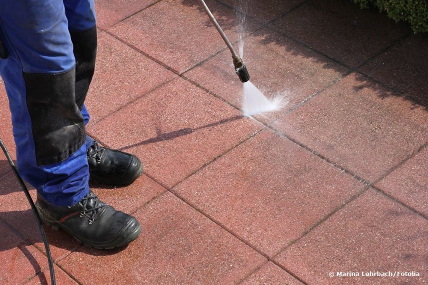 Flechten Entfernen Hausmittel
