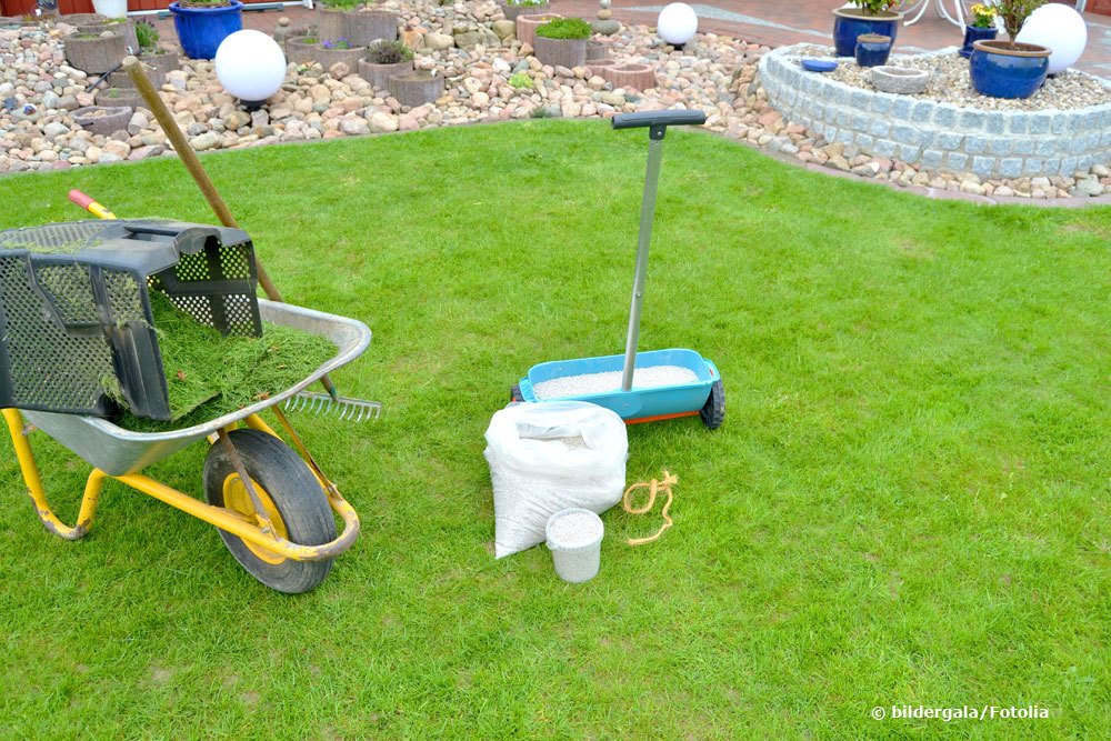 autoflower dünger cannabis Green Home Hanf- & Cannabis Dünger Set main image 1