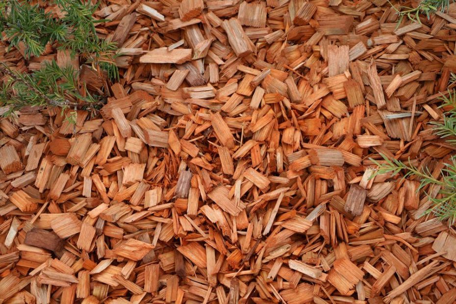 Rasen entfernen wie effektiv helfen Rindenmulch, Folie und Vlies?