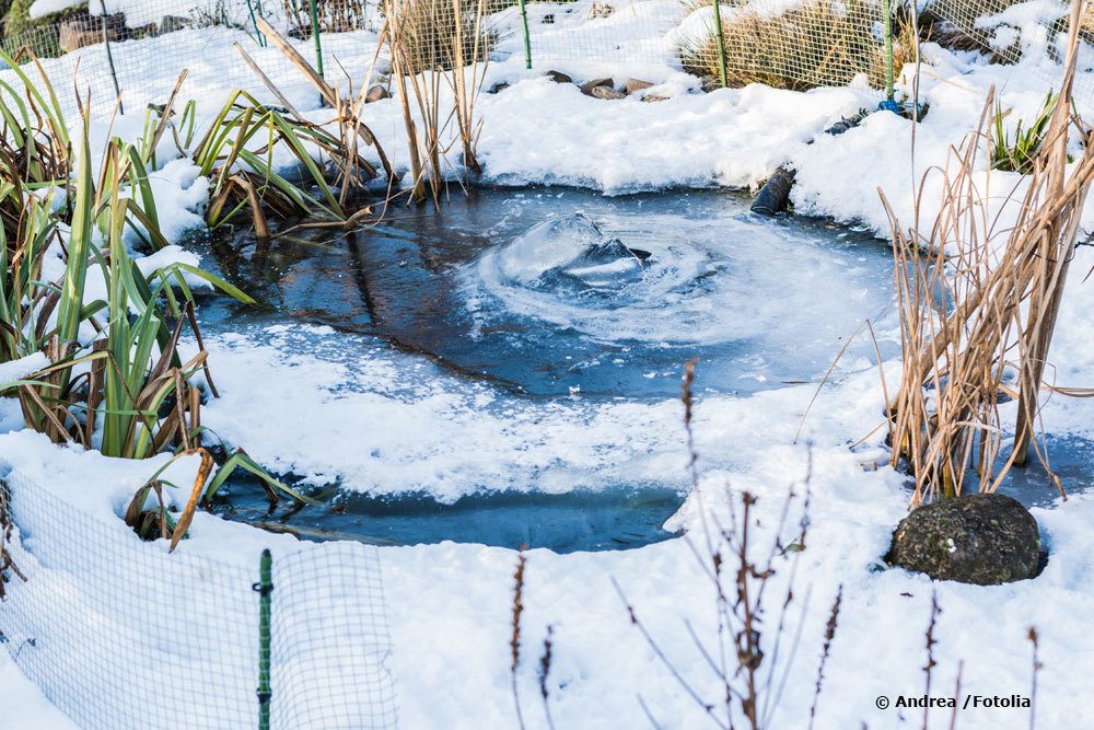 Teich mit Schnee