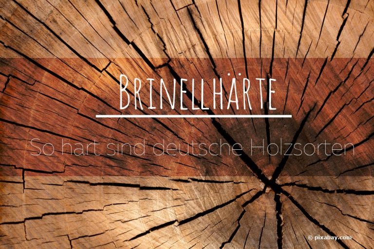 Brinellhärte - Holzhärte