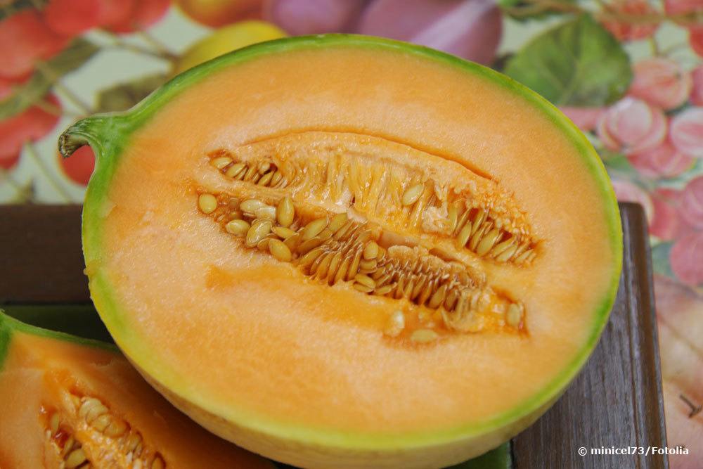 Zuckermelone 'Cantaloupe'