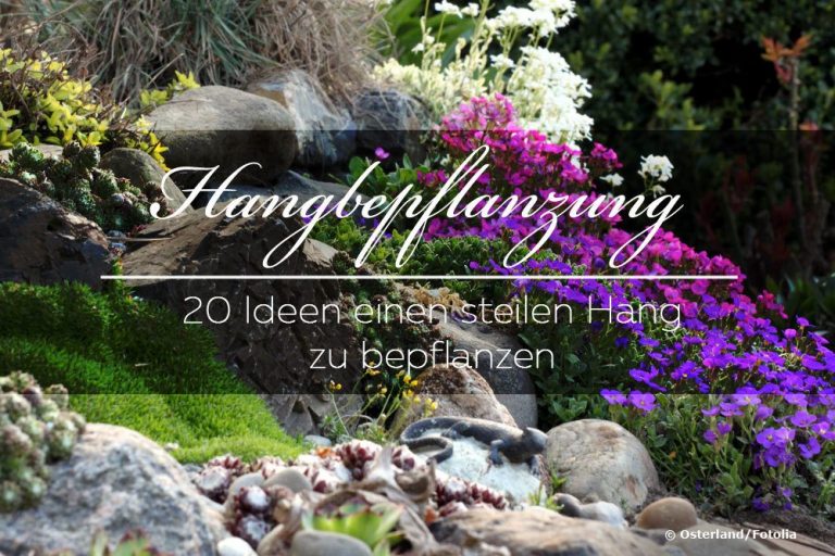 Hangbepflanzung