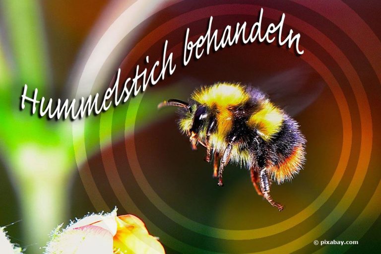 fliegende Hummel