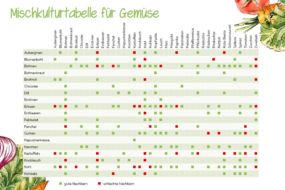 Mischkulturtabelle Gemüsesorten A-K