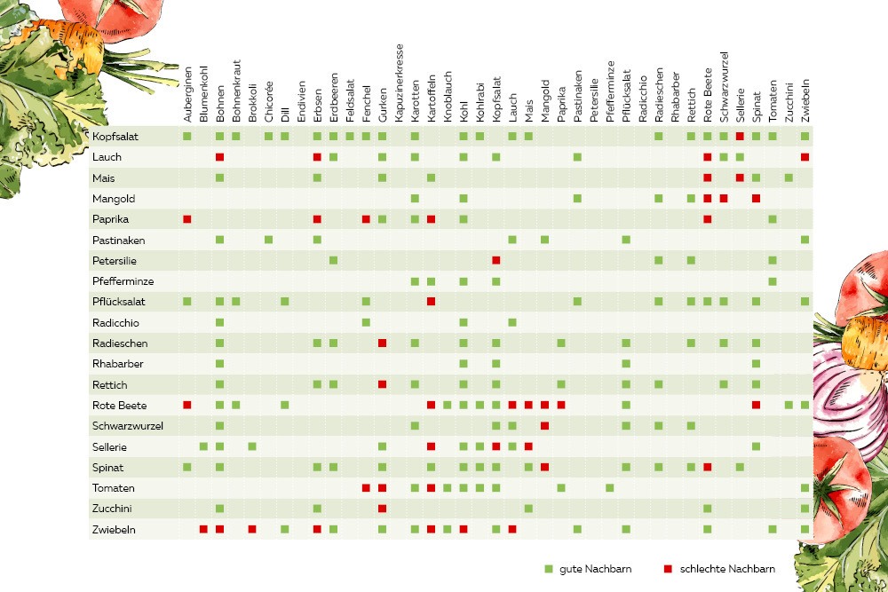 Mischkulturtabelle Gemüsesorten L-Z