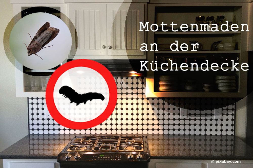 Mottenmaden an der Decke