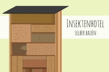 Insektenhotel selber bauen