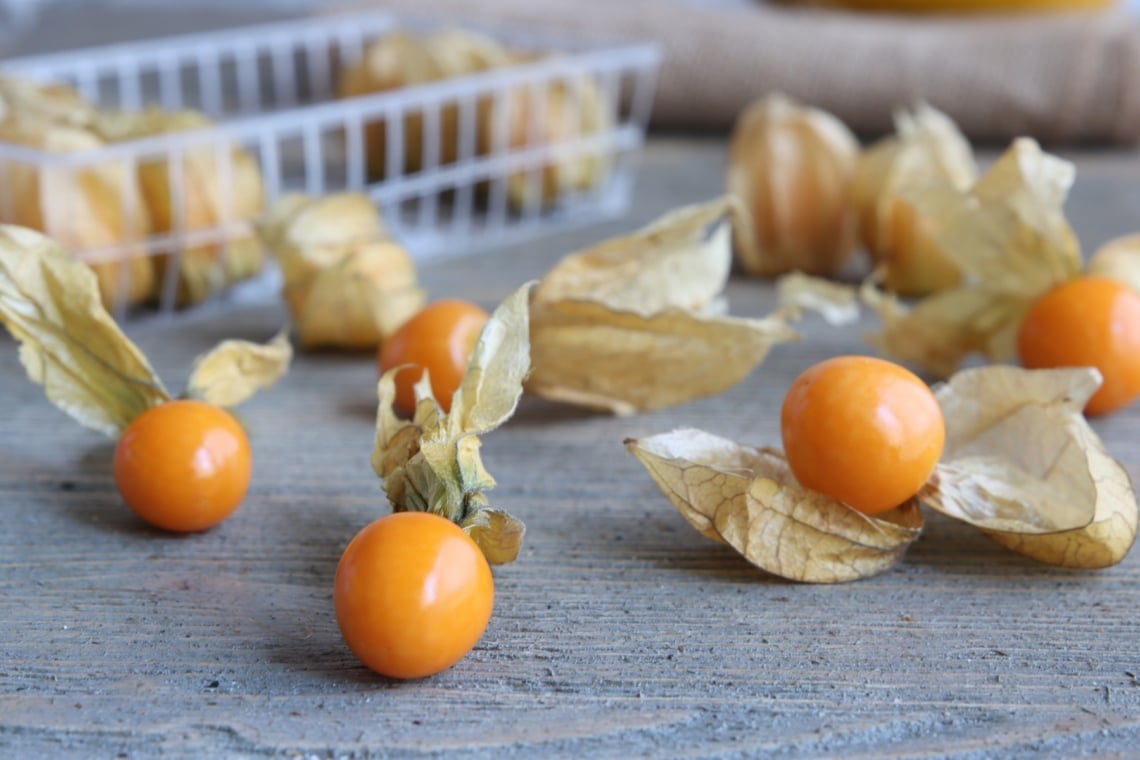 Physalis-Früchte