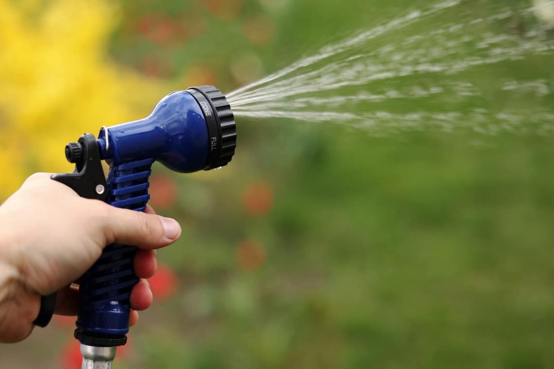 Schädlinge mit Wasser aus Gartenschlauch abbrausen