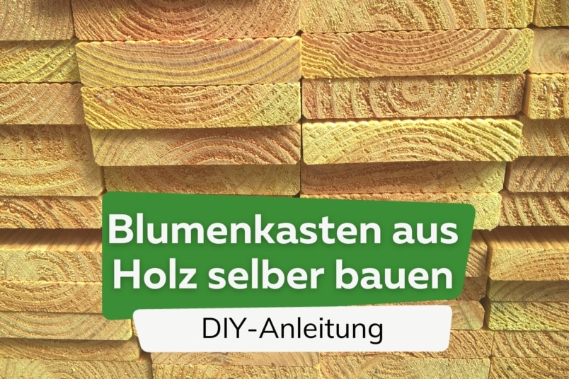 Blumenkasten aus Holz selber bauen