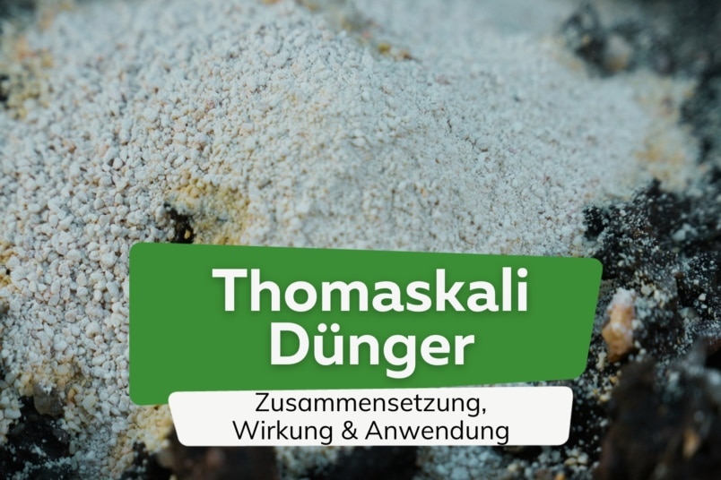 Thomaskali-Dünger