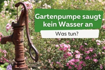 Gartenwasserpumpe saugt kein Wasser