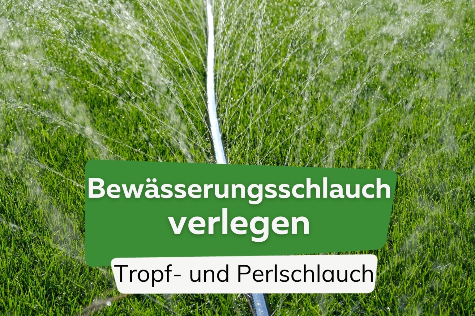 Bewässerungsschlauch verlegen Anleitung für Tropf und Perlschlauch