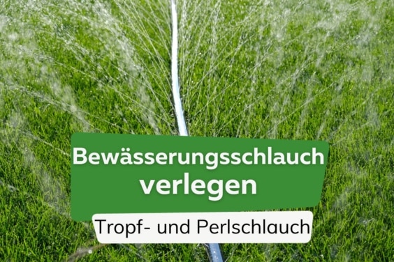 Bewässerungsschlauch