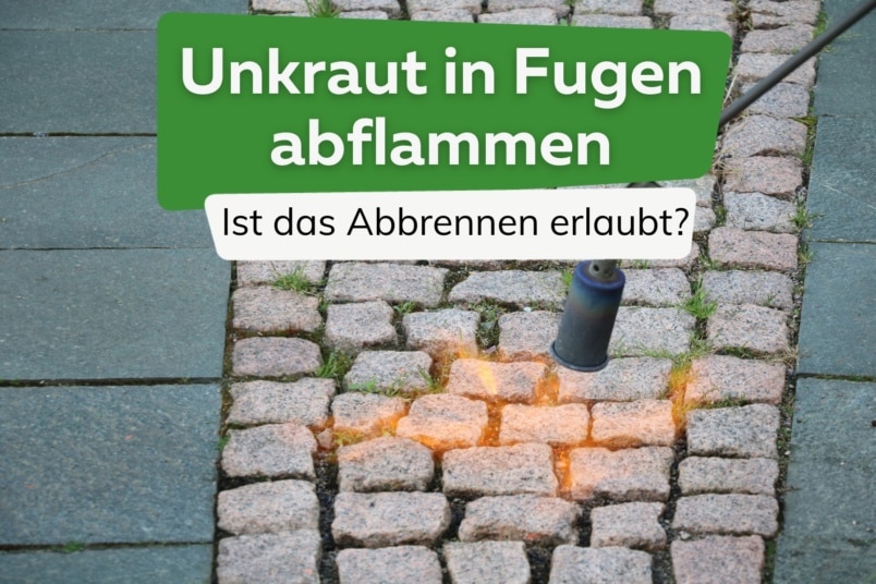 Unkraut in Fugen abflammen